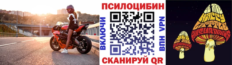сколько стоит  Чебоксары  Галлюциногенные грибы MAGIC MUSHROOMS 